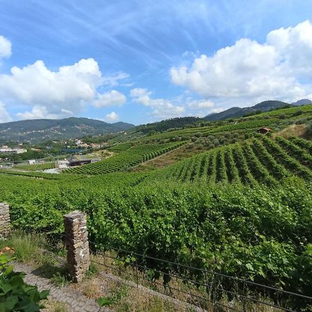 Ferienwohnung Al Vigneto Sestri Levante Exterior foto
