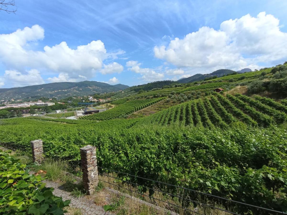 Ferienwohnung Al Vigneto Sestri Levante Exterior foto