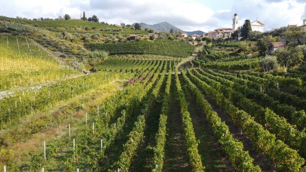 Ferienwohnung Al Vigneto Sestri Levante Exterior foto